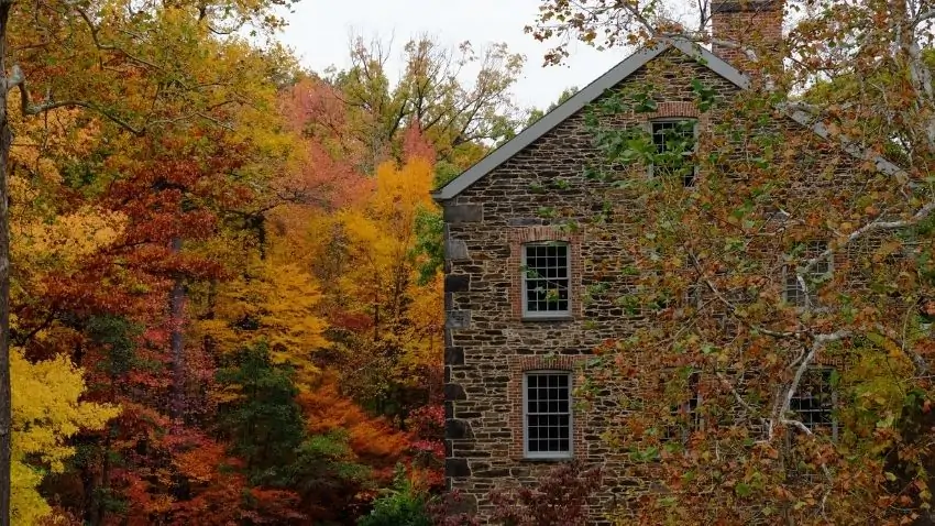 New York state fall foliage Bronx Botanical Garden