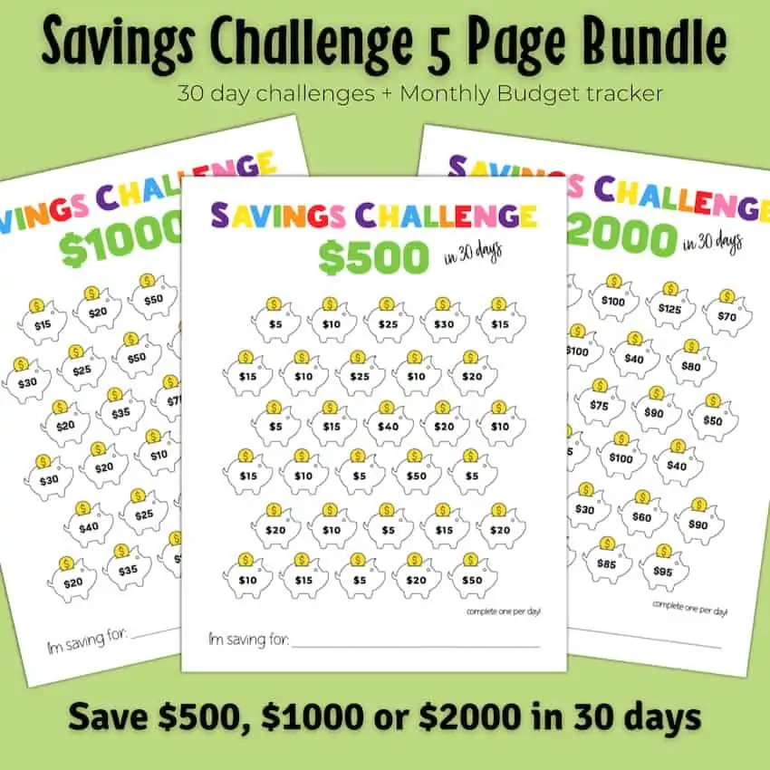 Savings Challenge Bundle FB Mockups