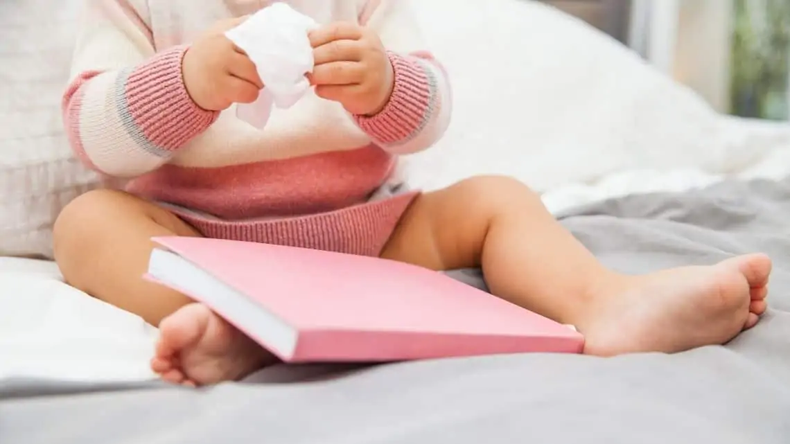 toddler busy books