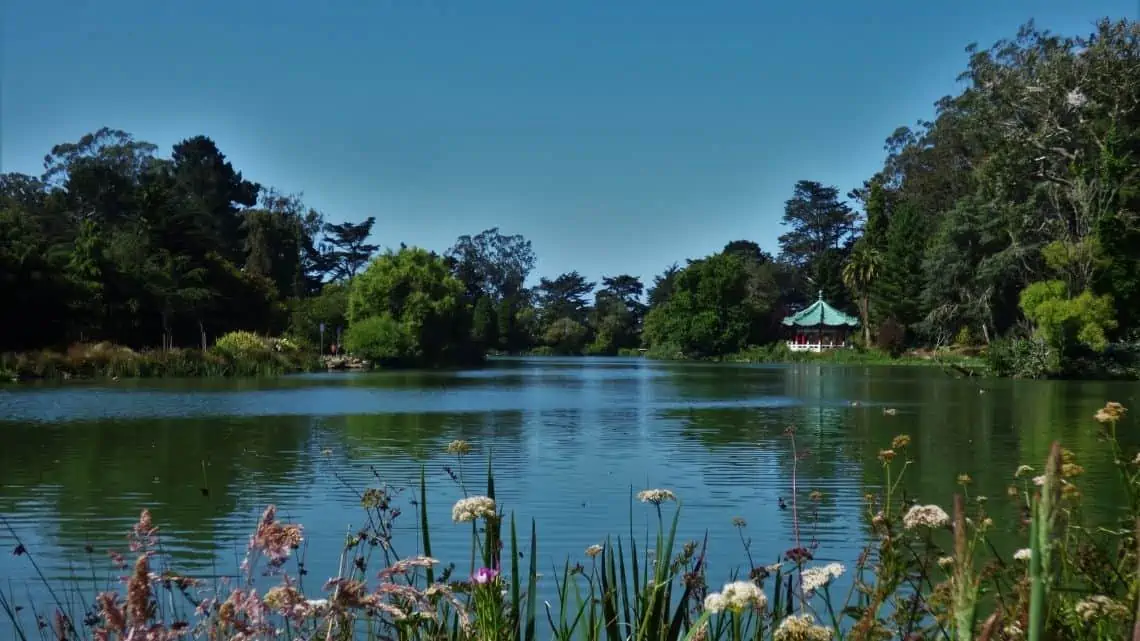 Golden Gate Park