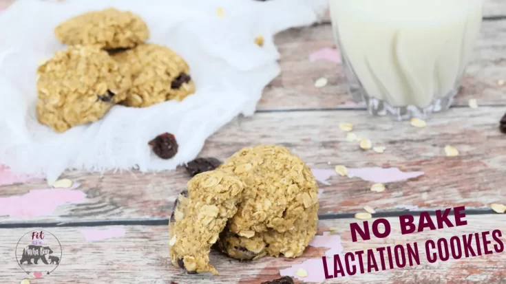 Lactation cookies feat 2