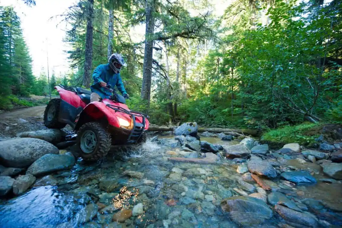 atv in woods