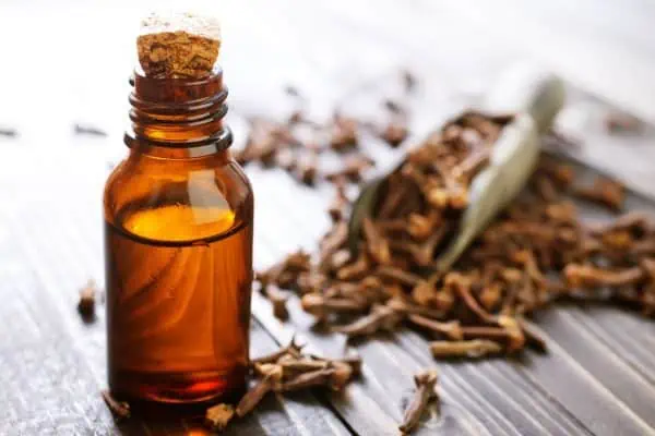 clove oil