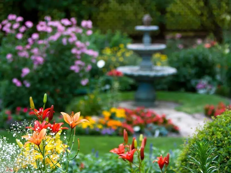 garden with fountain