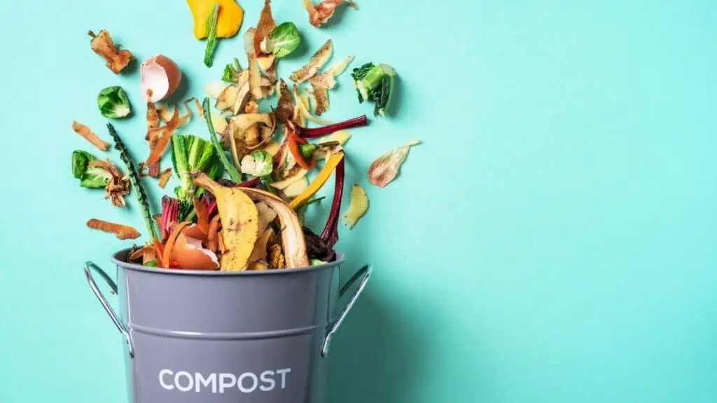 compost bin