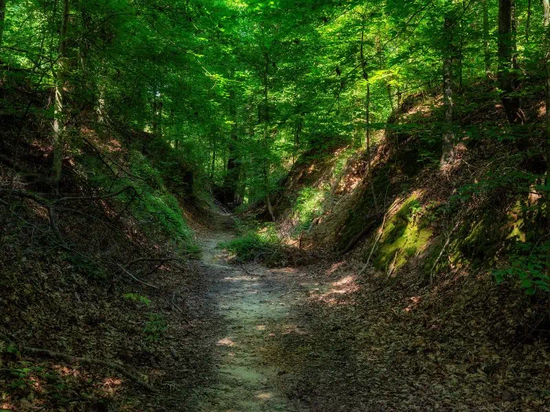 Natchez Trace Parkway