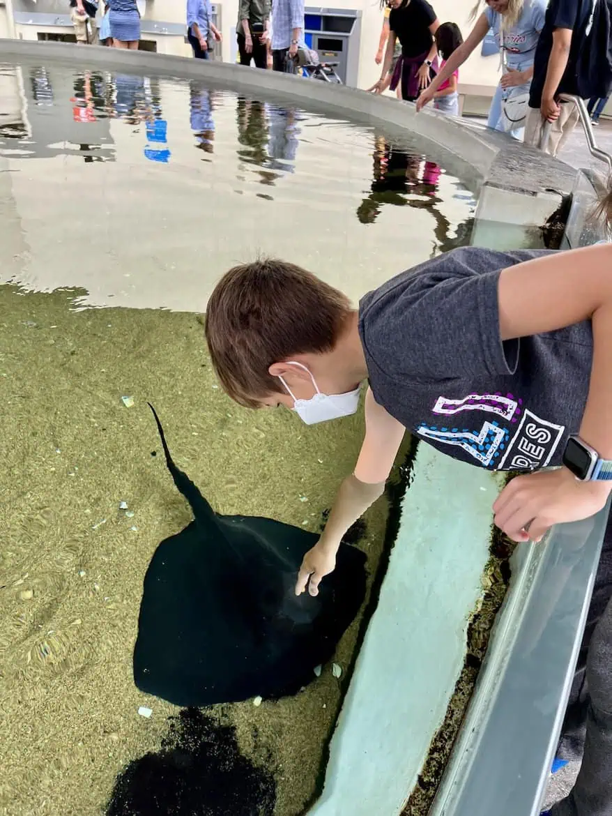 ray touch tank surfandsunshine