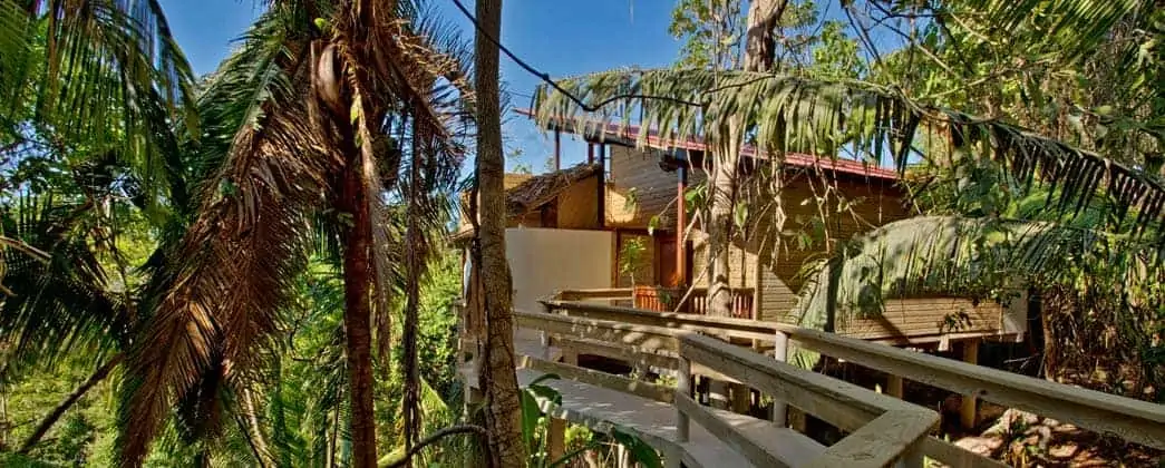 Belize Tree House