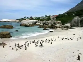 Boulders Bay