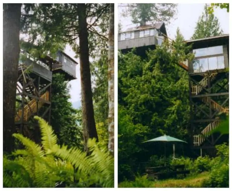 Cedar Creek Tree House Mount Rainier