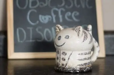 Crazy Cat Lady Coffee Mug