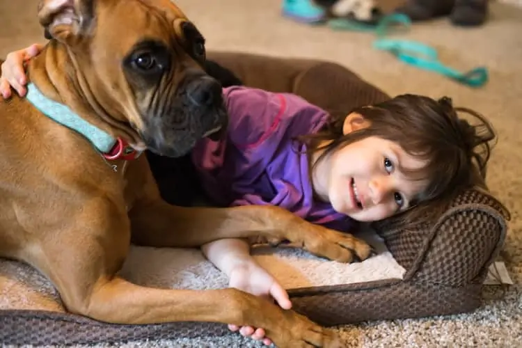 Girl With Dog