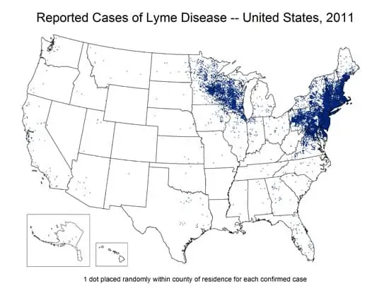 Lyme Disease Map