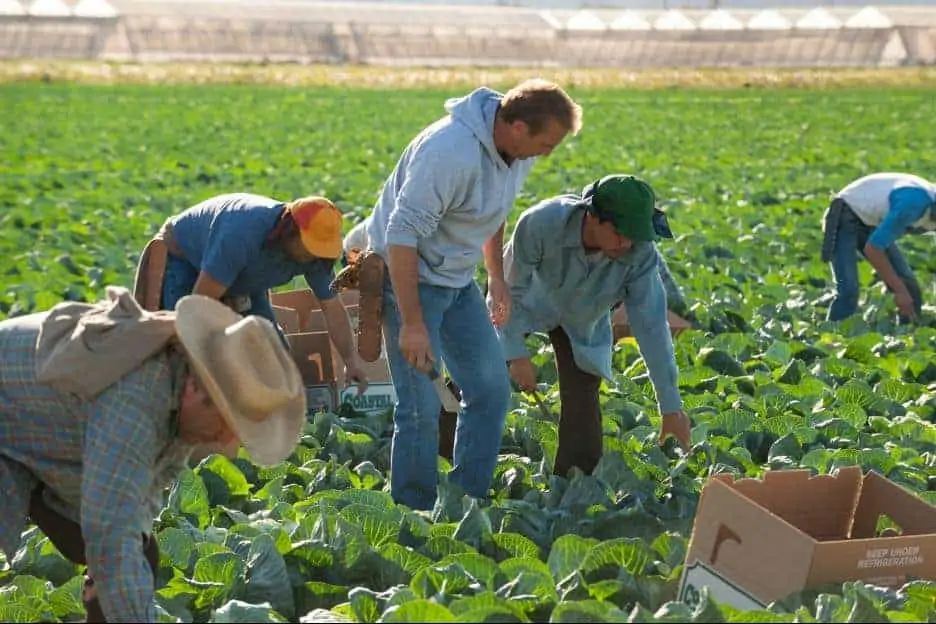 McFarlandUSA_FieldWork