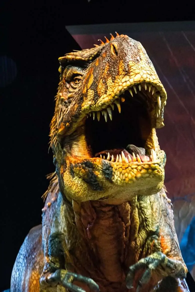 Tyrannosaurus Rex (Photo by Patrick Murphy)