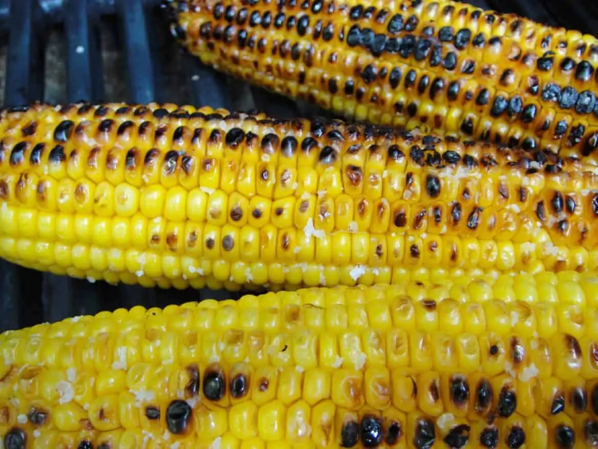 bbq corn