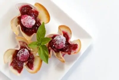 cranberry brie bites appetizer recipe