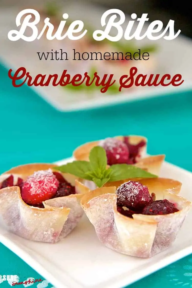 cranberry brie bites recipe final.jpg