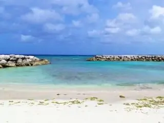 de palm island aruba 9