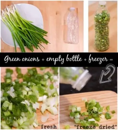 freeze dried green onions