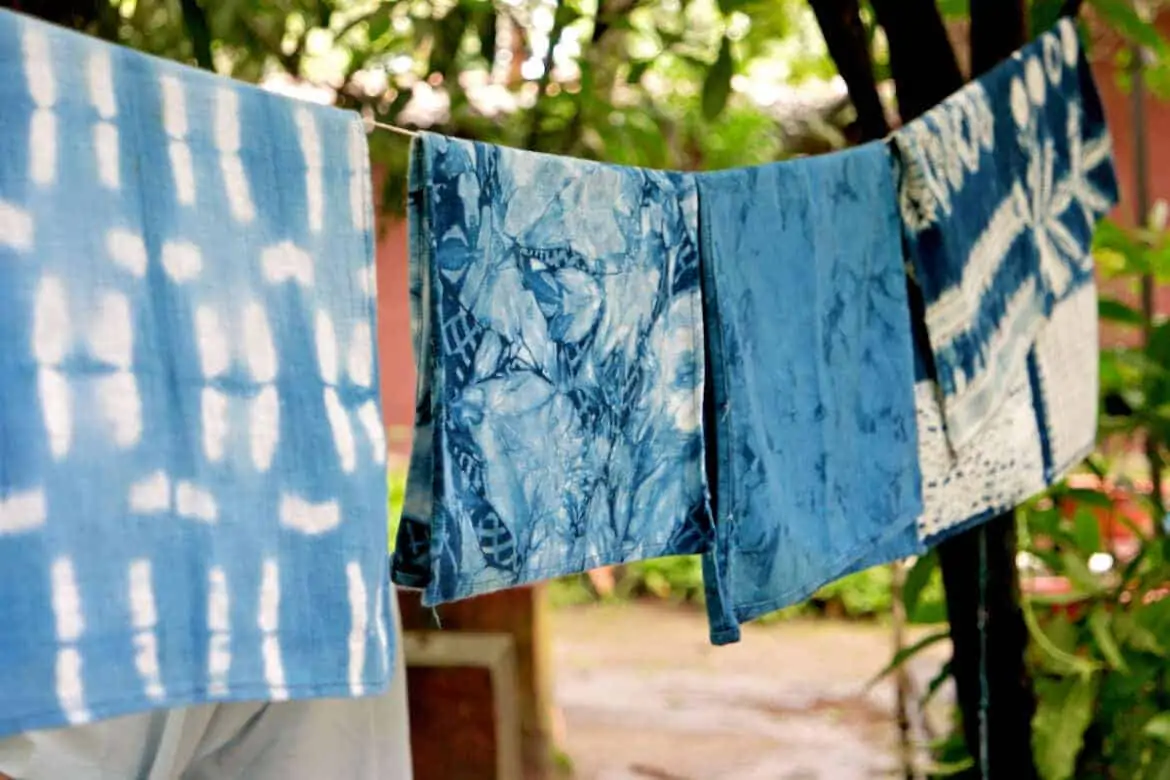 organic indigo farm el salvador