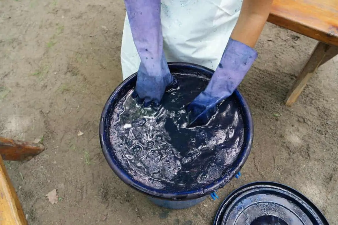 organic indigo farm el salvador