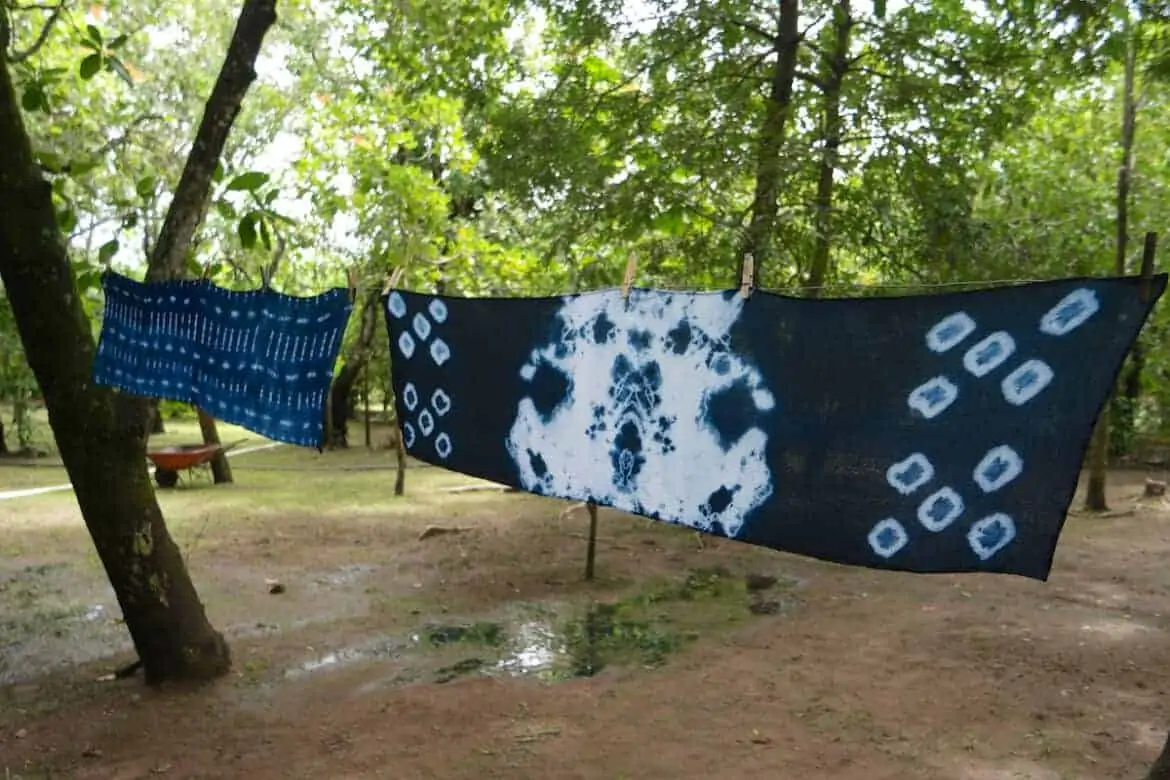 organic indigo farm el salvador