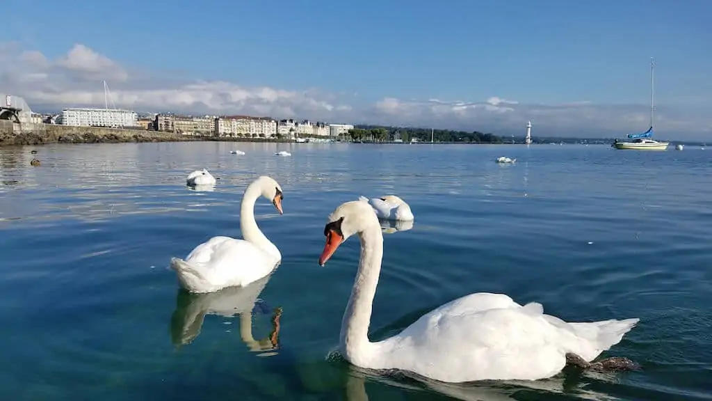 Le Richemond, Geneva Switzerland