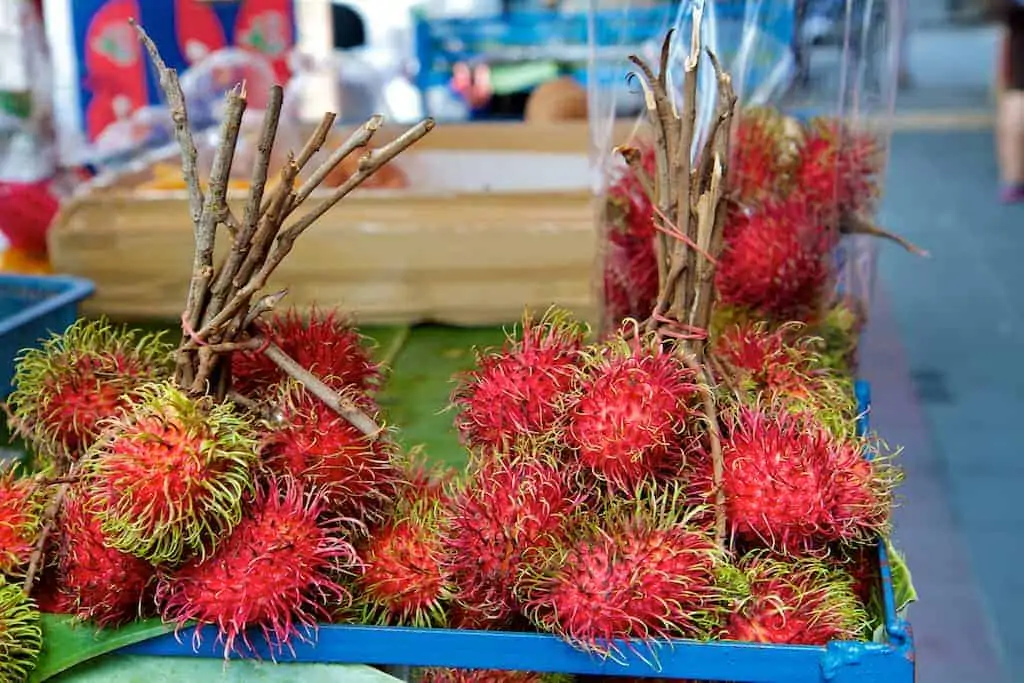 rambutan fruit