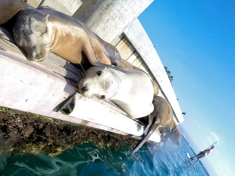 Family Friendly Things To Do In Redondo Beach - Surf and Sunshine