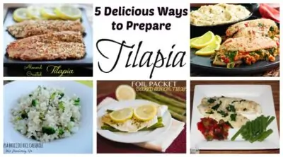 tilapia recipes