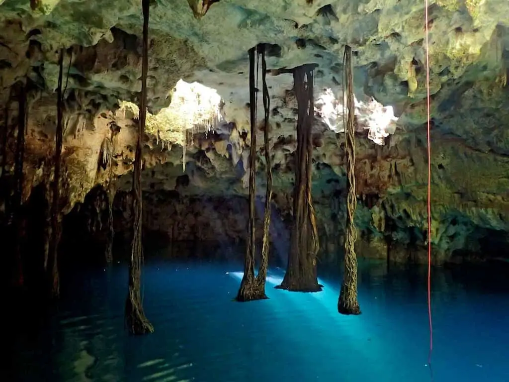 xenotes cenote